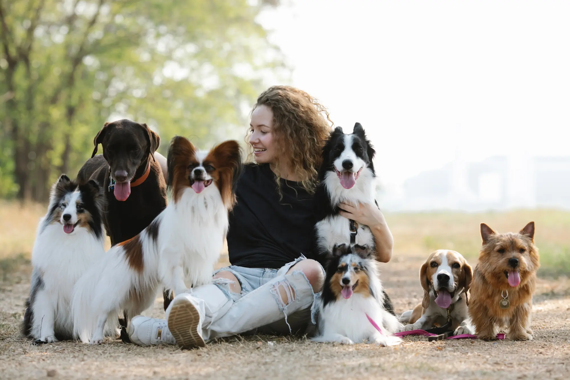 woman sitting on the ground outside with 7 dogs