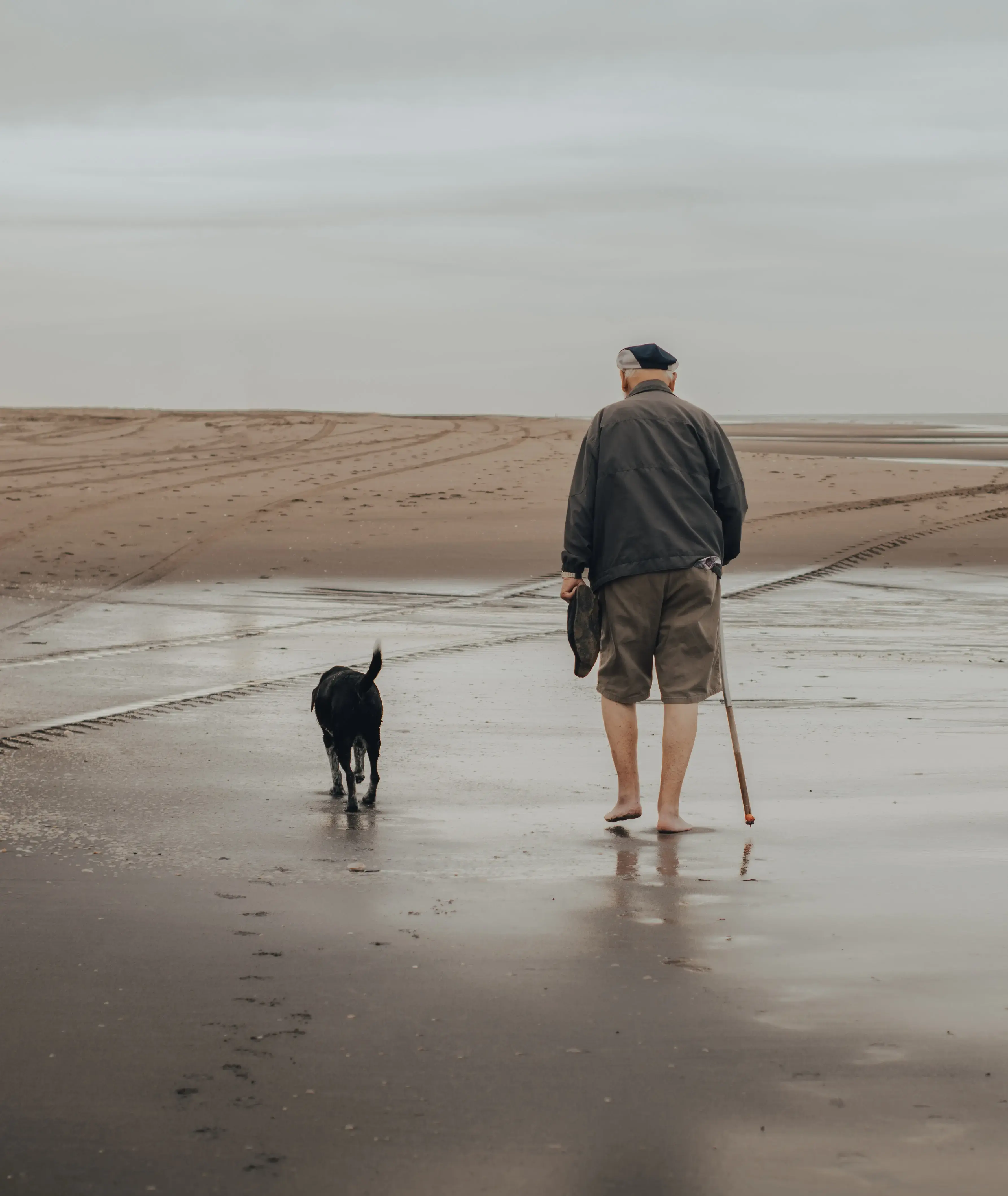 An Elderly Man Walking on Wet Shore with a Dog.
