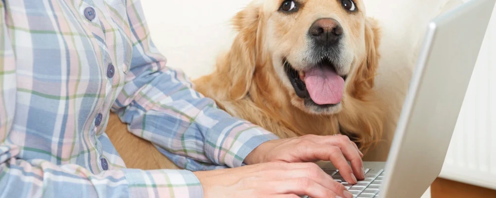 ways to save money on pet insurance